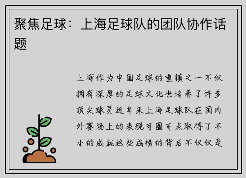 聚焦足球：上海足球队的团队协作话题